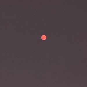 Meet your Posher, Gianna